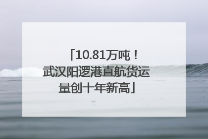 10.81万吨！武汉阳逻港直航货运量创十年新高