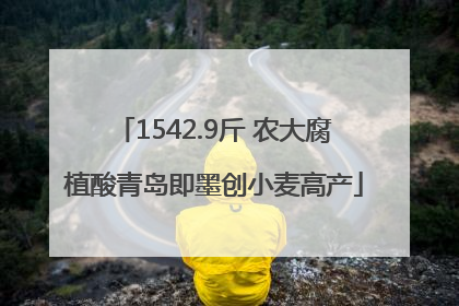 1542.9斤 农大腐植酸青岛即墨创小麦高产