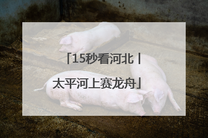 15秒看河北丨太平河上赛龙舟