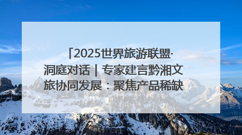 2025世界旅游联盟·洞庭对话｜专家建言黔湘文旅协同发展：聚焦产品稀缺性 深化区域经验共享