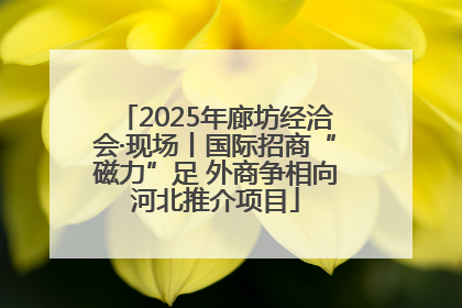 2025年廊坊经洽会·现场丨国际招商“磁力”足 外商争相向河北推介项目