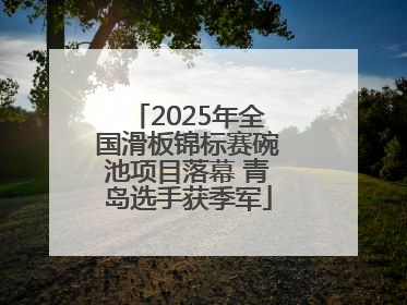 2025年全国滑板锦标赛碗池项目落幕 青岛选手获季军