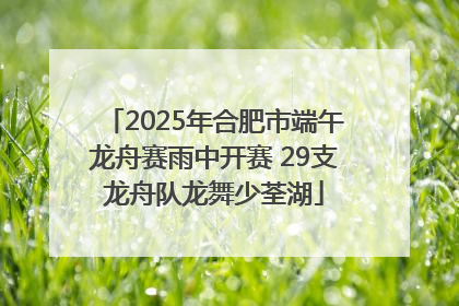 2025年合肥市端午龙舟赛雨中开赛 29支龙舟队龙舞少荃湖