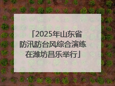 2025年山东省防汛防台风综合演练在潍坊昌乐举行