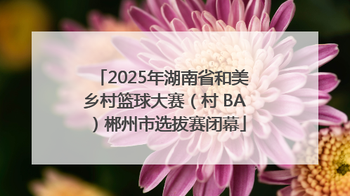 2025年湖南省和美乡村篮球大赛（村 BA）郴州市选拔赛闭幕