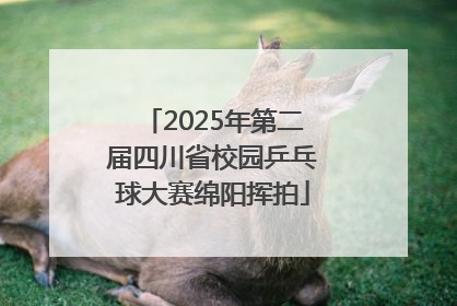 2025年第二届四川省校园乒乓球大赛绵阳挥拍