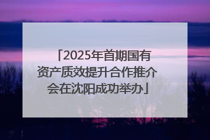 2025年首期国有资产质效提升合作推介会在沈阳成功举办