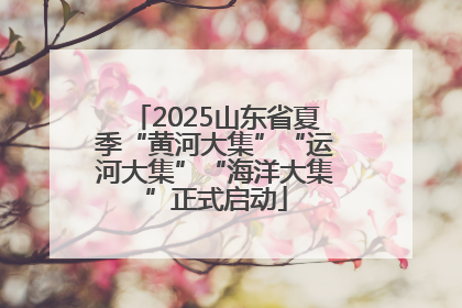 2025山东省夏季“黄河大集”“运河大集”“海洋大集”正式启动