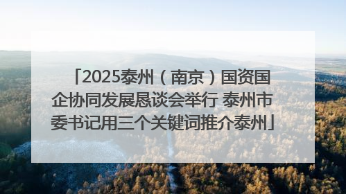 2025泰州（南京）国资国企协同发展恳谈会举行 泰州市委书记用三个关键词推介泰州