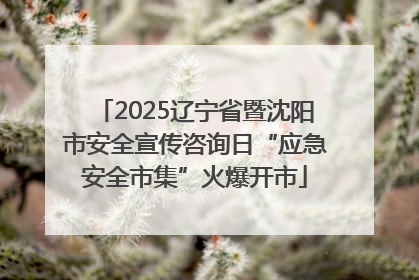 2025辽宁省暨沈阳市安全宣传咨询日“应急安全市集”火爆开市