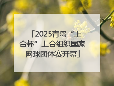 2025青岛“上合杯”上合组织国家网球团体赛开幕