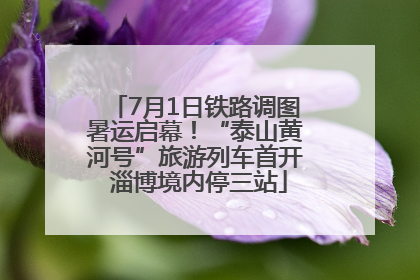 7月1日铁路调图暑运启幕！“泰山黄河号”旅游列车首开 淄博境内停三站