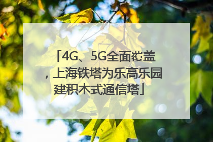 4G、5G全面覆盖，上海铁塔为乐高乐园建积木式通信塔