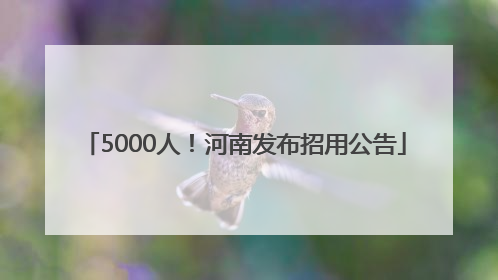 5000人！河南发布招用公告