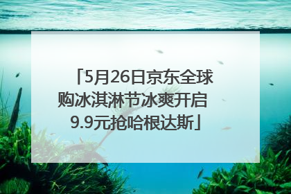 5月26日京东全球购冰淇淋节冰爽开启 9.9元抢哈根达斯