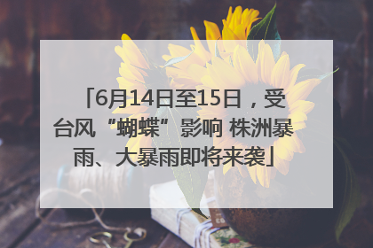 6月14日至15日，受台风“蝴蝶”影响 株洲暴雨、大暴雨即将来袭