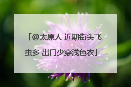 @太原人 近期街头飞虫多 出门少穿浅色衣