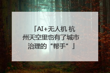 AI+无人机 杭州天空里也有了城市治理的“帮手”