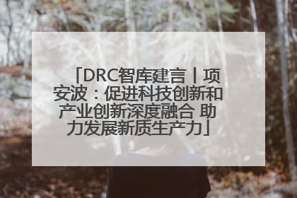 DRC智库建言丨项安波：促进科技创新和产业创新深度融合 助力发展新质生产力