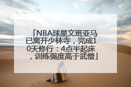 NBA球星文班亚马已离开少林寺，完成10天修行：4点半起床，训练强度高于武僧