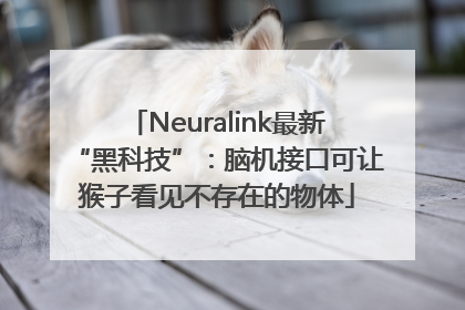 Neuralink最新“黑科技”：脑机接口可让猴子看见不存在的物体