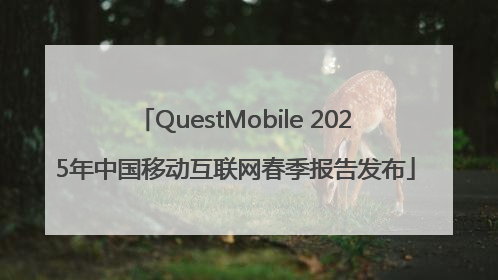 QuestMobile 2025年中国移动互联网春季报告发布