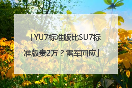 YU7标准版比SU7标准版贵2万？雷军回应
