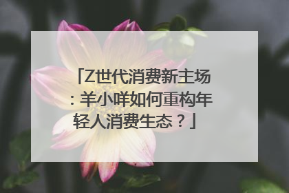 Z世代消费新主场：羊小咩如何重构年轻人消费生态？